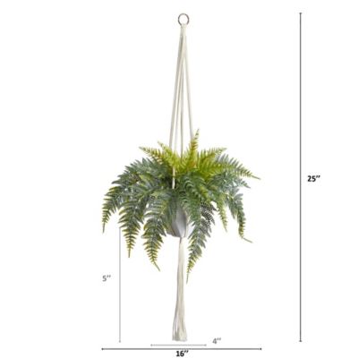 Image showing  25 in. Artificial Fern Hanging Plant in Decorative Basket