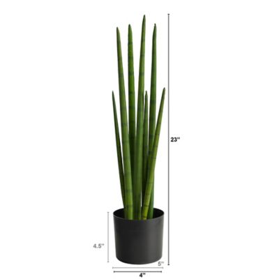 Image showing  23 in. Sansevieria Snake Artificial Plant