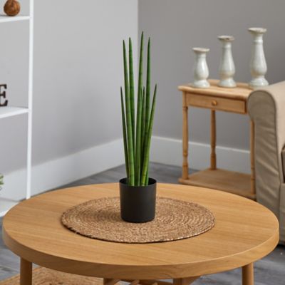Image showing  23 in. Sansevieria Snake Artificial Plant