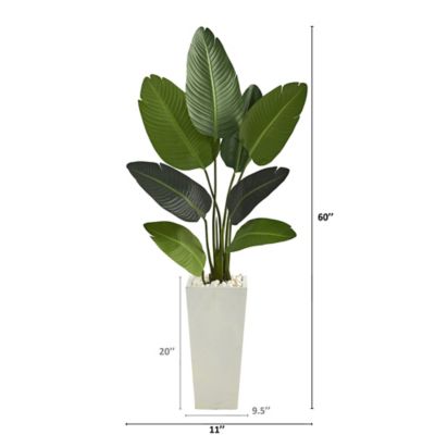 Image showing  5 ft. Travelers Palm Artificial Tree in Tall White Planter