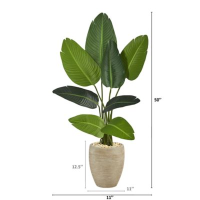 Image showing  50 in. Travelers Palm Artificial Tree in Sand-Colored Planter