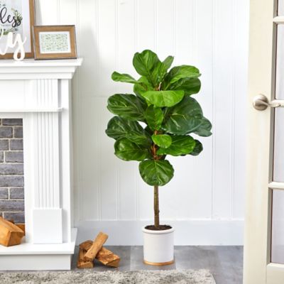 Image showing  3.5 ft. Fiddle Leaf Artificial Tree in White Ceramic Planter