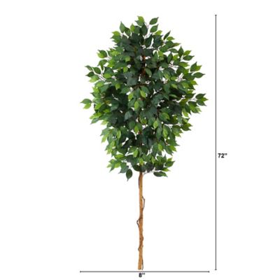 Image showing  6 ft. Artificial Ficus Tree