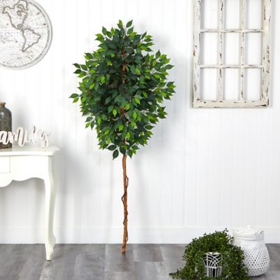 Image showing  6 ft. Artificial Ficus Tree