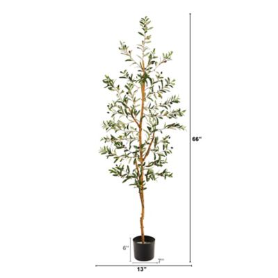 Image showing  5.5 ft. Artificial Olive Tree