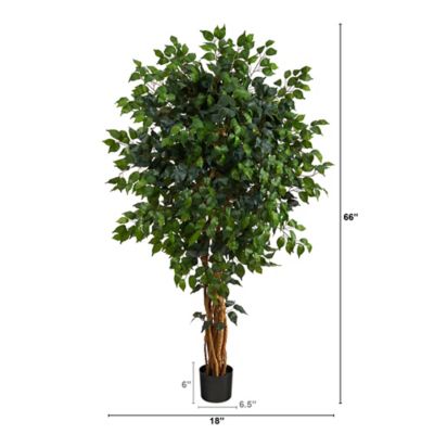 Image showing  5.5 ft. Artificial Palace Ficus Tree