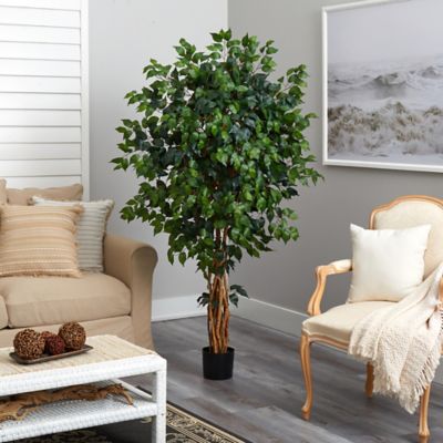 Image showing  5.5 ft. Artificial Palace Ficus Tree