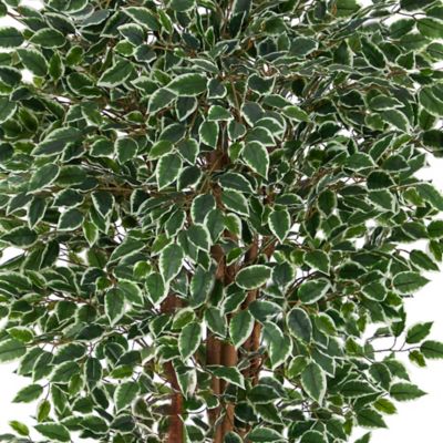 Image showing 3 th Nearly Natural 70 in. UV-Resistant Indoor/Outdoor Artificial Variegated Ficus Tree