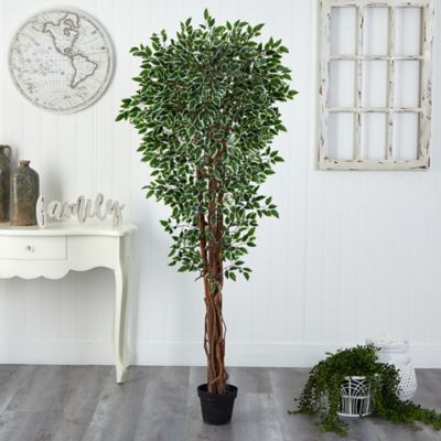 Image showing 4 th Nearly Natural 70 in. UV-Resistant Indoor/Outdoor Artificial Variegated Ficus Tree