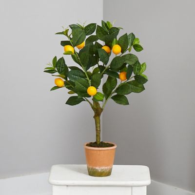Image showing  24 in. Artificial Lemon Tree