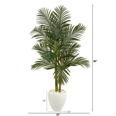 Image showing  5.5 ft. Golden Cane Artificial Palm Tree in White Planter