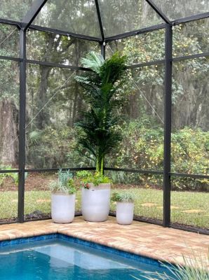 Image showing  10 ft. Double Stalk Golden Cane Artificial Palm Tree