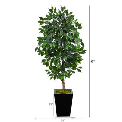 Image showing  5 ft. Artificial Ficus Tree in Black Metal Planter