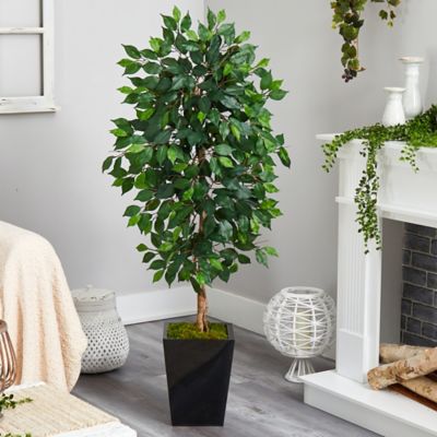 Image showing  5 ft. Artificial Ficus Tree in Black Metal Planter