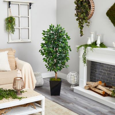 Image showing  5 ft. Artificial Ficus Tree in Black Metal Planter