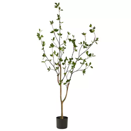 Almost Natural 5 Foot Minimalist Artificial Citrus Tree Artificial Plants & Flowers