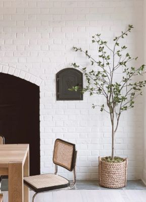 Image showing 5 th Nearly Natural 5 ft. Minimalist Artificial Citrus Tree