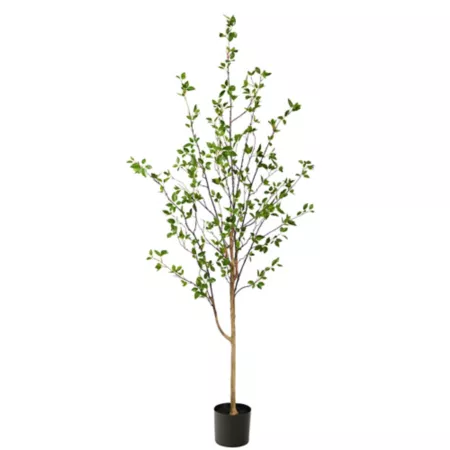 6.5 ft Almost Natural Minimalist Artificial Citrus Tree Artificial Plants & Flowers