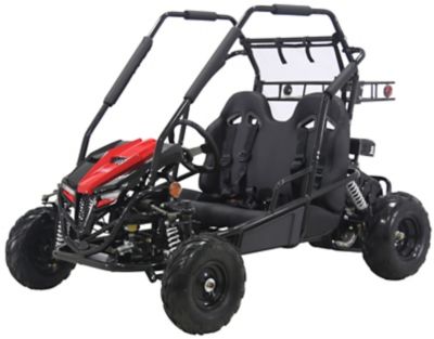 Coleman Powersports 196cc 2-Seater Gas-Powered Go Kart