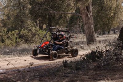 Image showing  196cc 2-Seater Gas-Powered Go Kart