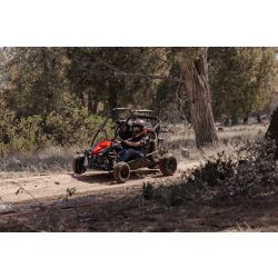 Coleman Powersports Go-Kart