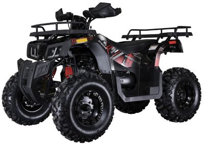 Coleman Powersports 169cc Gas-Powered Adult ATV, AT200R