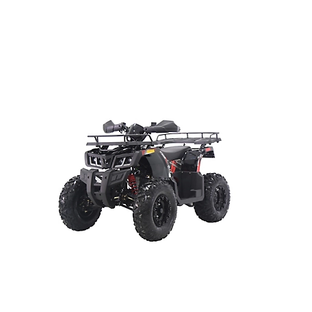 Coleman Powersports 169cc Gas-Powered Adult ATV, AT200R