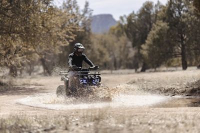 Image showing  Adult 169cc Gas-Powered ATV