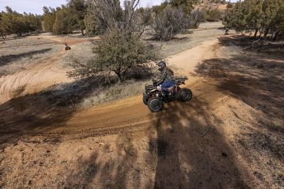 Image showing  Adult 169cc Gas-Powered ATV