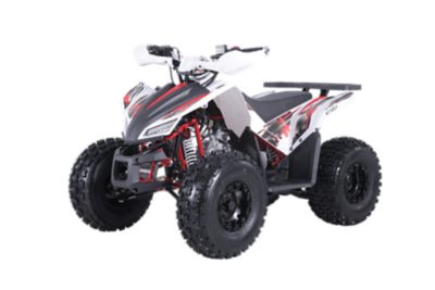 Coleman Powersports 120cc Youth Sport ATV, AT125Y