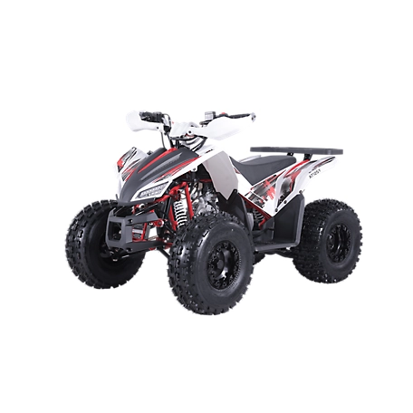Coleman Powersports 120cc Youth Sport ATV, AT125Y