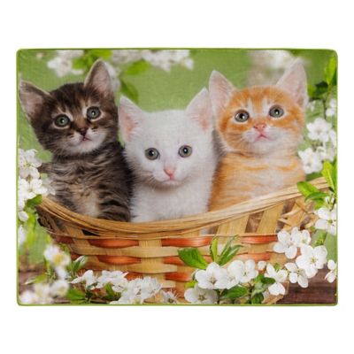 Northwest Basket of Kittens 50 in. x 60 in. Rachel Throw