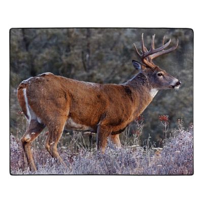 Northwest First Frost Raschel Throw Blanket, 50 in. x 60 in.