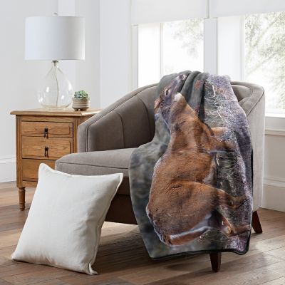 Image showing  First Frost Raschel Throw Blanket, 50 in. x 60 in.