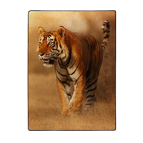 Northwest Savanna Tiger 60 in. x 80 in. Rachel Throw