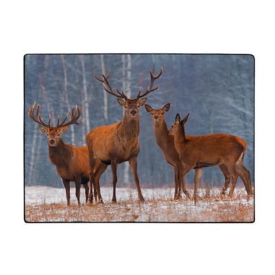 Northwest Cold Snap Rachel Throw Blanket, 60 in. x 80 in.