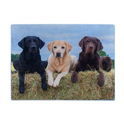 Northwest 3 Friends Rachel Throw Blanket, 60 in. x 80 in.