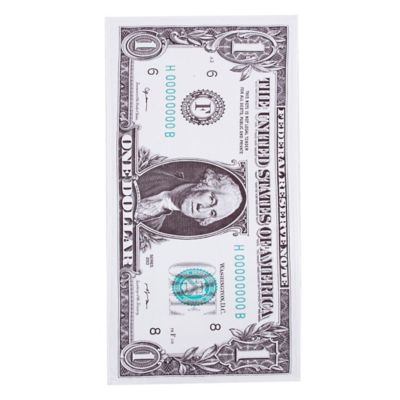 Northwest Dollar Bill Beach Towel, 30 in. x 60 in.