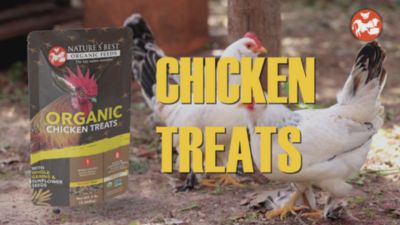 Image showing  Chicken Treats with Whole Grains and Sunflower Seeds, 5 lb.