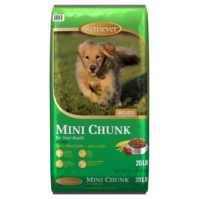 retriever mini chunk