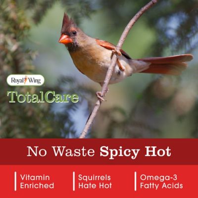 Image showing  No Waste Spicy Hot Premium Wild Bird Food