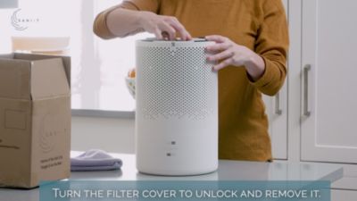 Image showing  385 Replacement Filter, SAN-385-RF