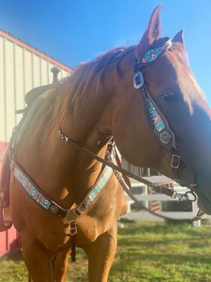 Image showing  Interchangeable Tack, One Ear Set, Dark Brown