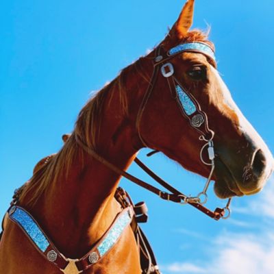 Image showing  Interchangeable Tack, Breast Collar, Dark Brown