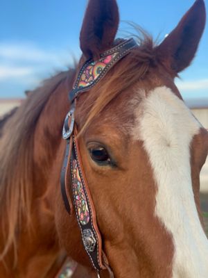 Image showing  Interchangeable Tack, One Ear, Dark Brown