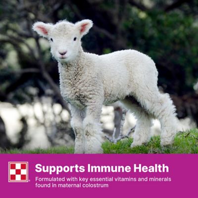 Image showing  Lamb and Kid Colostrum Replacer, 10 oz. Pouch