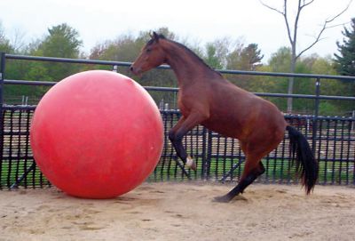 Image showing  Megaball, 180cm, Red