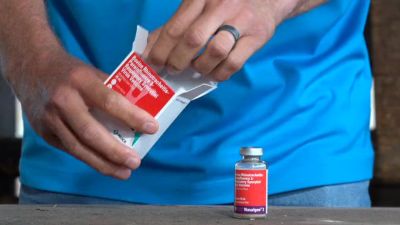 Image showing  Nasalgen 3 Vaccine for Cattle, 10 Doses