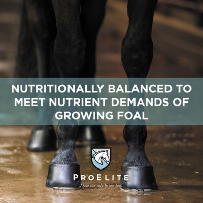 Image showing 6 th ProElite Foals First Milk Replacer, 22 lb.