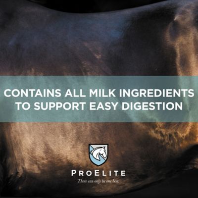 Image showing 7 th ProElite Foals First Milk Replacer, 22 lb.